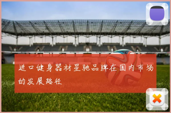 进口健身器材星驰品牌在国内市场的发展路径