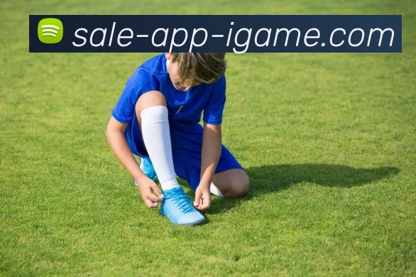 爱游戏APP全站App